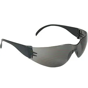 Safety Goggle Smoked Lens